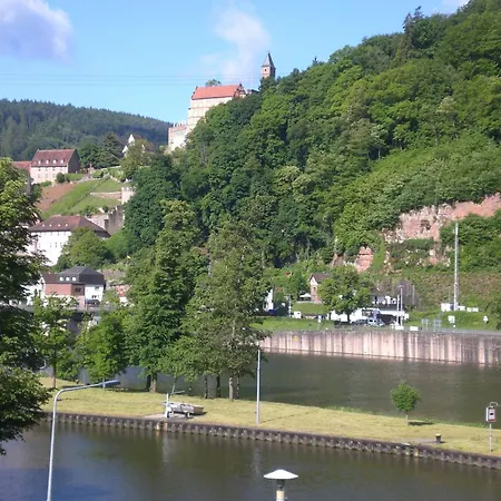 Romantisches Am Neckar * هيرشهورن