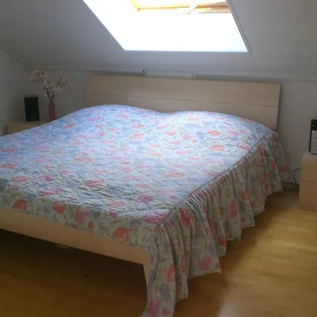 Romantisches Am Neckar هيرشهورن