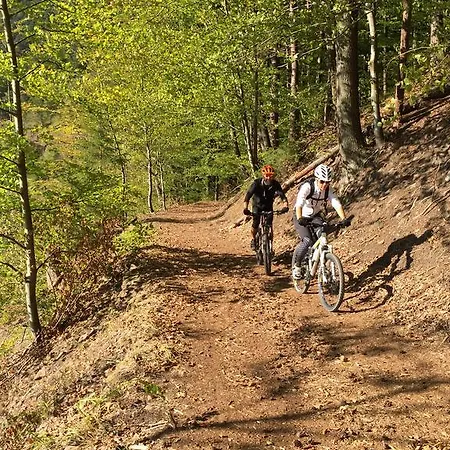 Romantisches Am Neckar شقة هيرشهورن