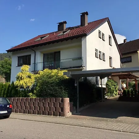 شقة Romantisches Am Neckar هيرشهورن